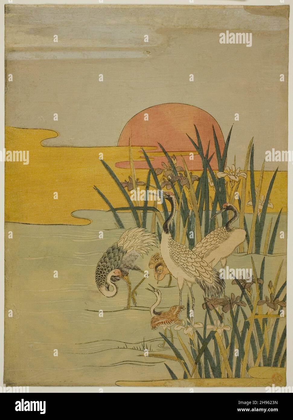 Cranes in an Iris Pond at Sunrise, c. 1774. Stock Photo