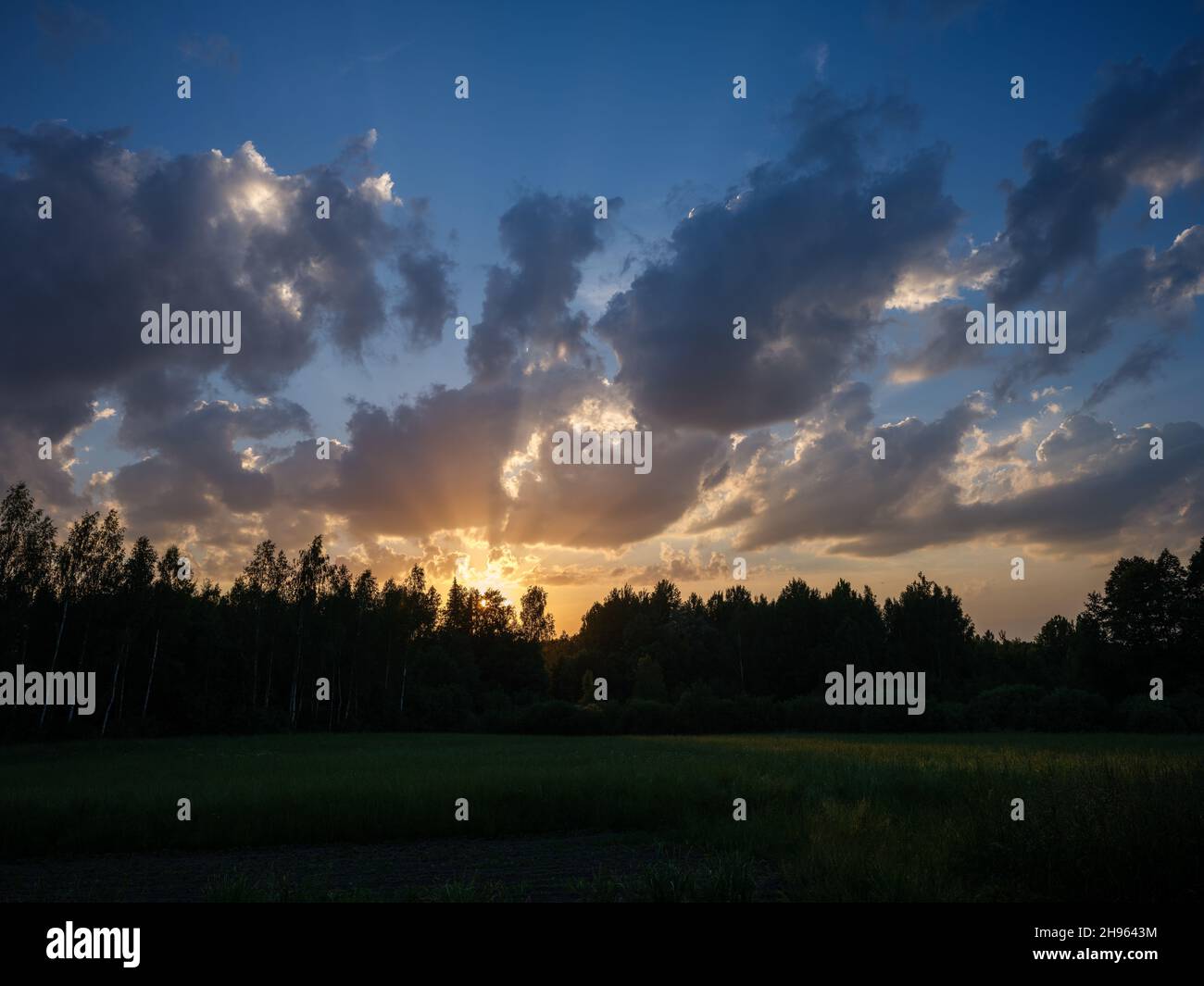 dramatic sunset clouds over forest trees with colorful sky Stock Photo ...