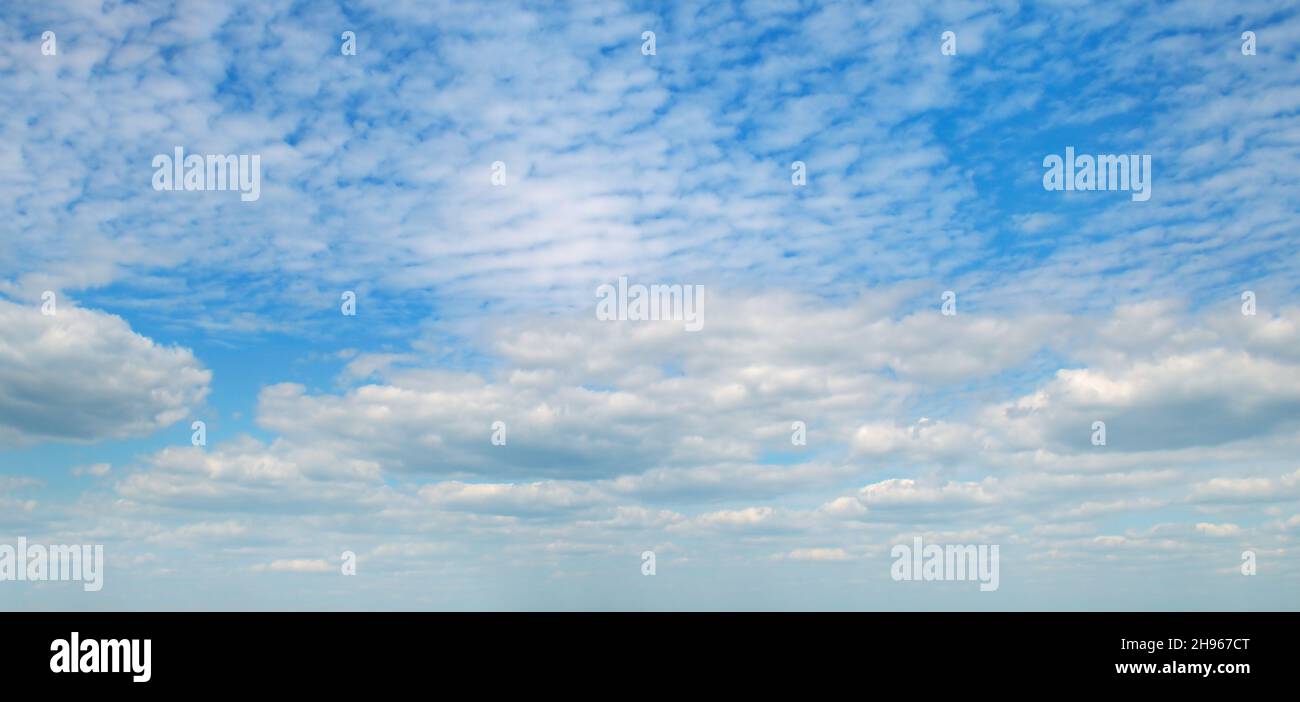 Light cumulus clouds in the blue sky. Wide photo Stock Photo - Alamy