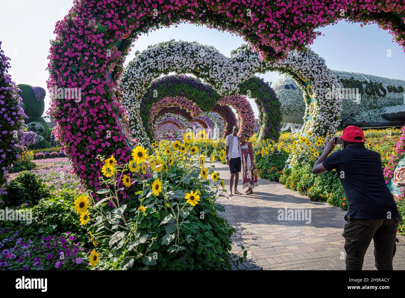 A couple have their photograph taken in the Alley of Hearts at the Dubai Miracle Garden Stock Photo