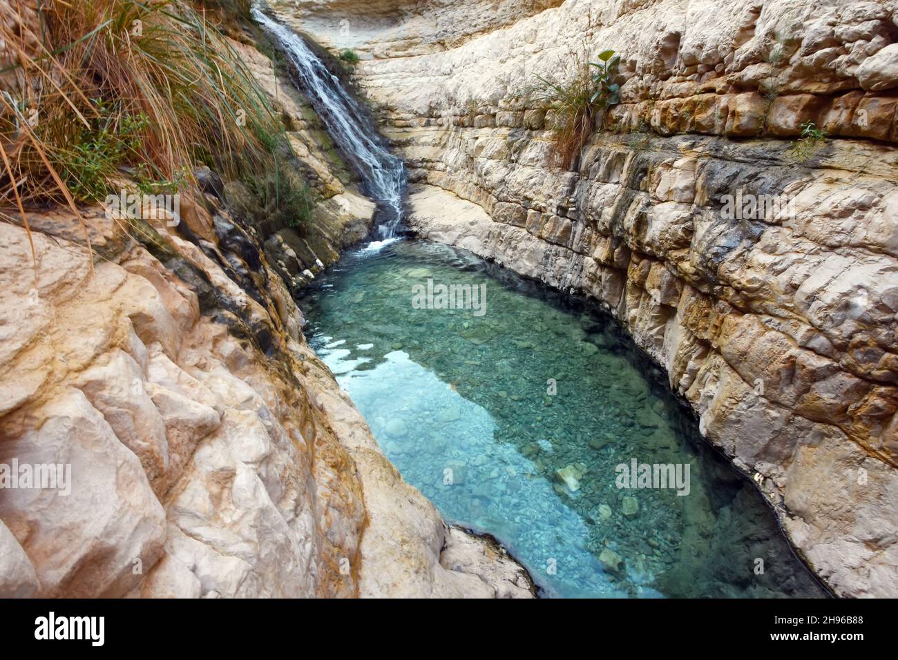 David waterfall and natural pool, Ein Gedi, Israel Stock Photo