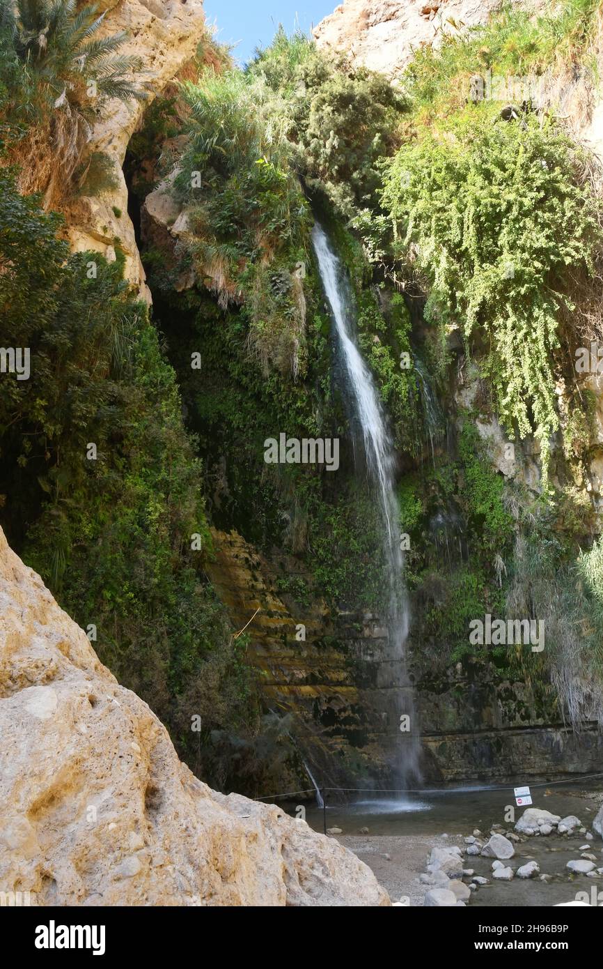 David waterfalls Ein Gedi, Israel Stock Photo