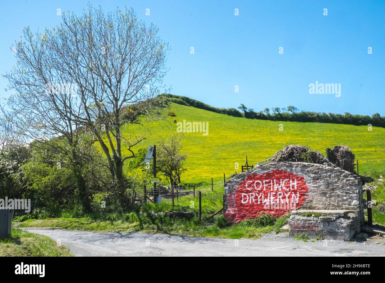 The Cofiwch Dryweryn mural,political,grafitti,on the A487 near Llanrhystud,south,Aberystwyth has been repeatedly vandalised.The protest image was painted in 1965 after the village of Capel Celyn near Bala in Gwynedd was flooded to create a reservoir to supply water to Liverpool.Cofiwch Dryweryn (English: 'Remember Tryweryn') or Y Wal Cofiwch Dryweryn is a graffitied grafitti,graffitti,graffiti,stone, wall, near, Llanrhystud, Ceredigion, Wales. Cofiwch Dryweryn,West,Mid,Wales,Welsh,Independence,Welsh Independence,nation,national,nationalism,nationalist,pride,passion,patriotism,Great Britain, Stock Photo