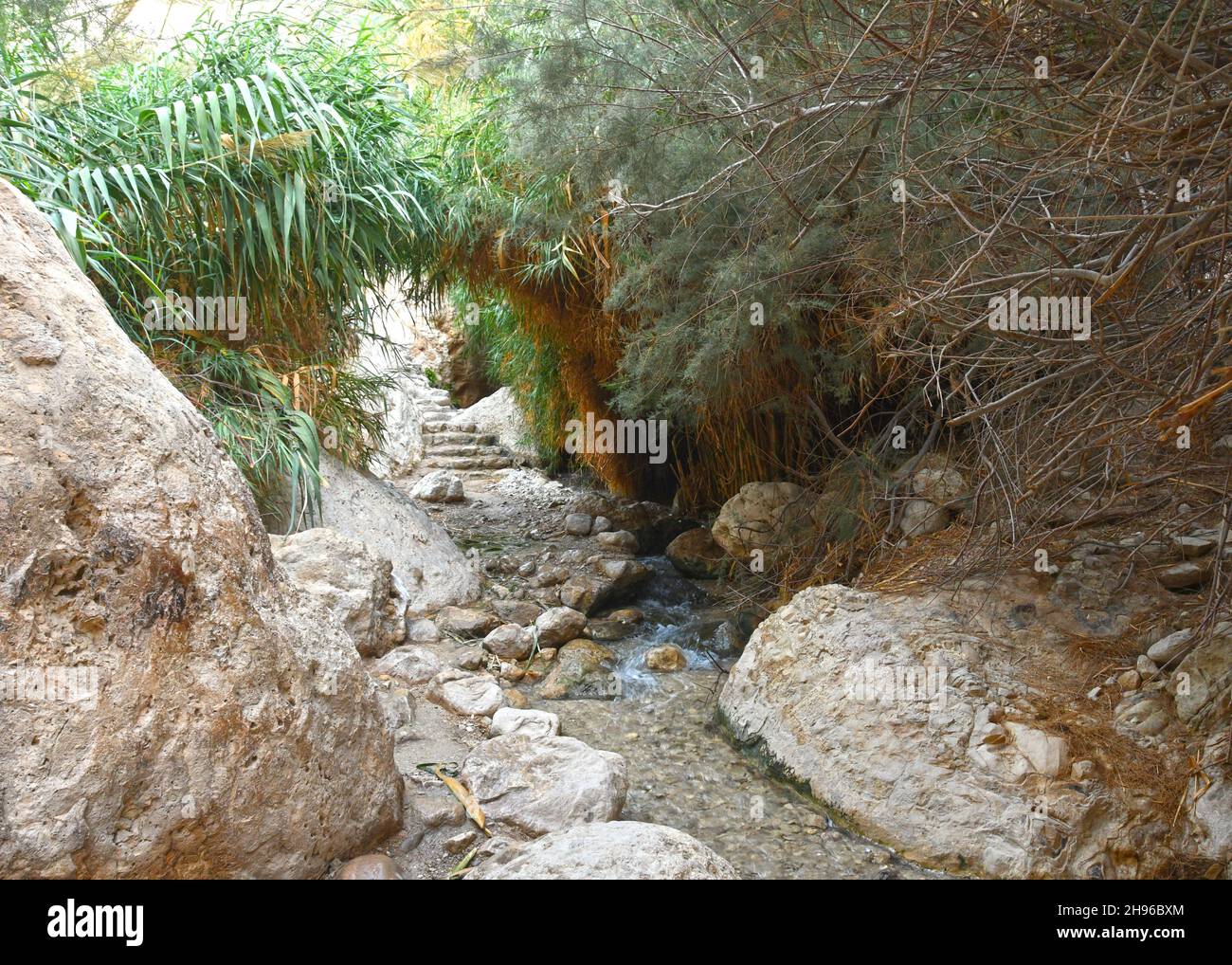 David wadi trail, Ein Gedi, Israel Stock Photo