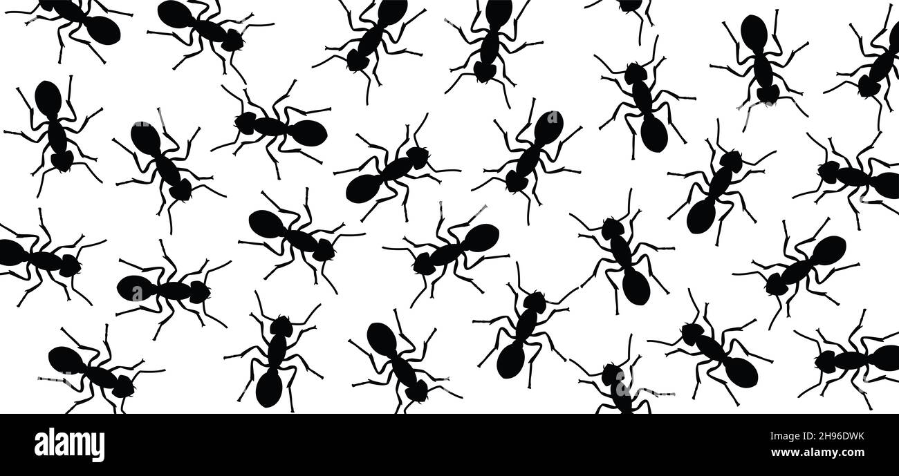 Worker ants marching in search of food sign. Black ant crawling, walking in a group. Flat vector Insect pattern. Funny silhouette pictogram. Stock Photo