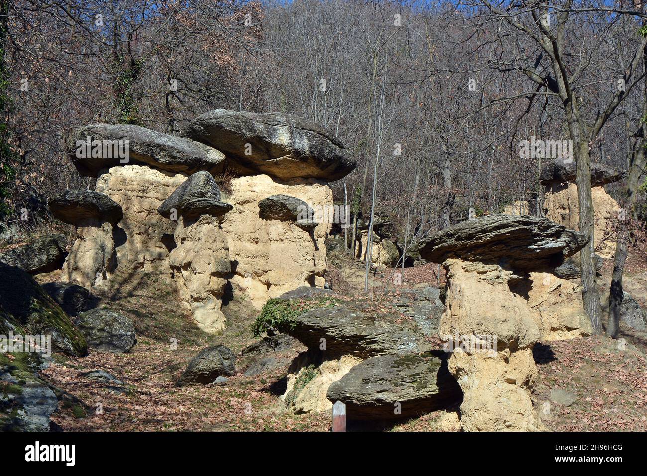 Villar San Costanzo, Piedmont, Italy - The Ciciu di Villar natural reserve with geological formations in the shape of mushrooms, due to water erosion. Stock Photo