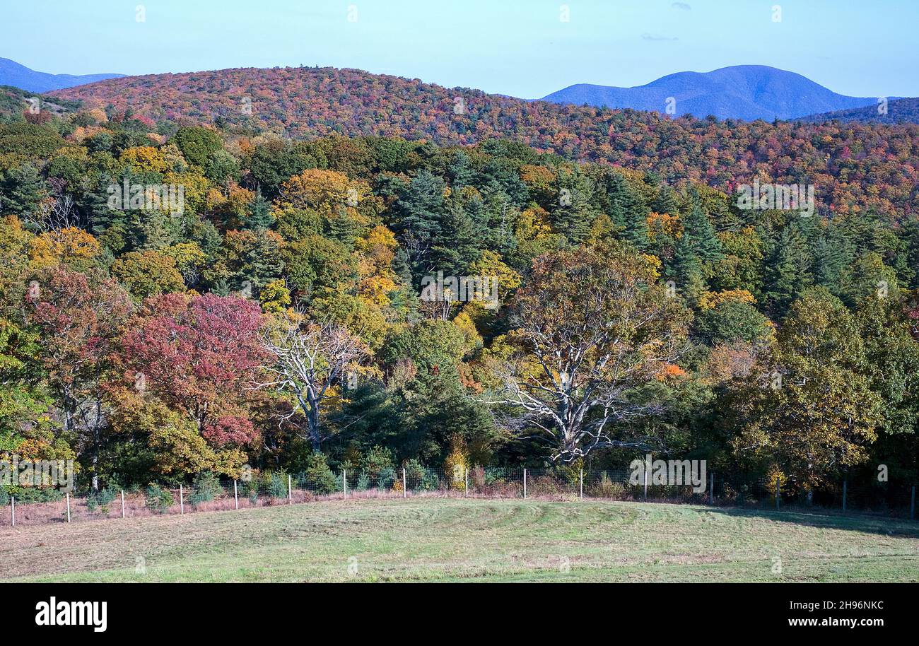 October 24, 2021: Newly mown fields give way to colorful Southern Highland woodlands near the Blue Ridge Parkway, Staunton, Virginia. Stock Photo