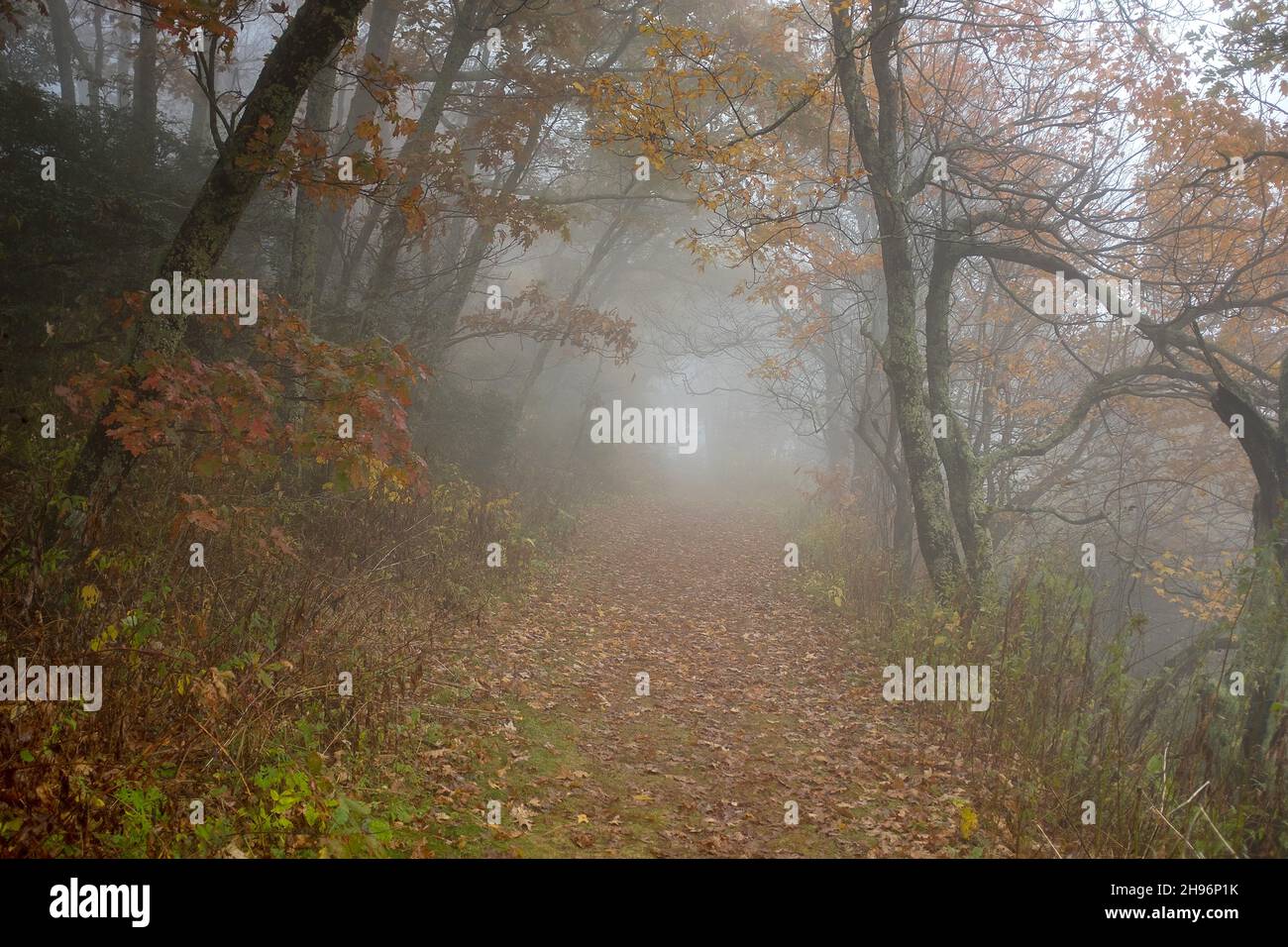 October 29, 2021: Early morning fog and mist bring a gentle atmosphere to North Carolina's Southern Highlands near the Blue Ridge Parkway, Brevard, North Carolina. Stock Photo