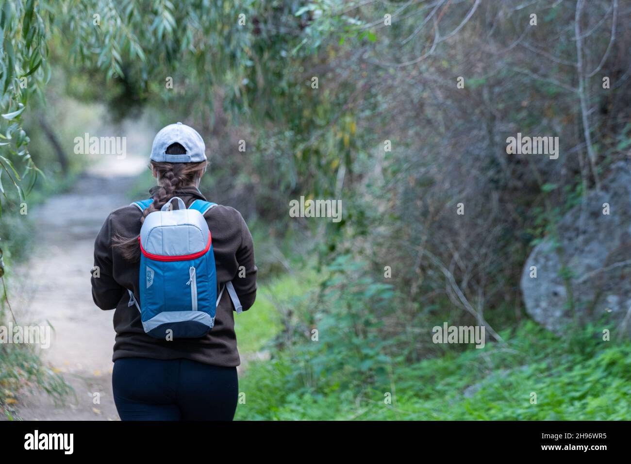 A backpacker female hiking in a fores Stock Photo - Alamy