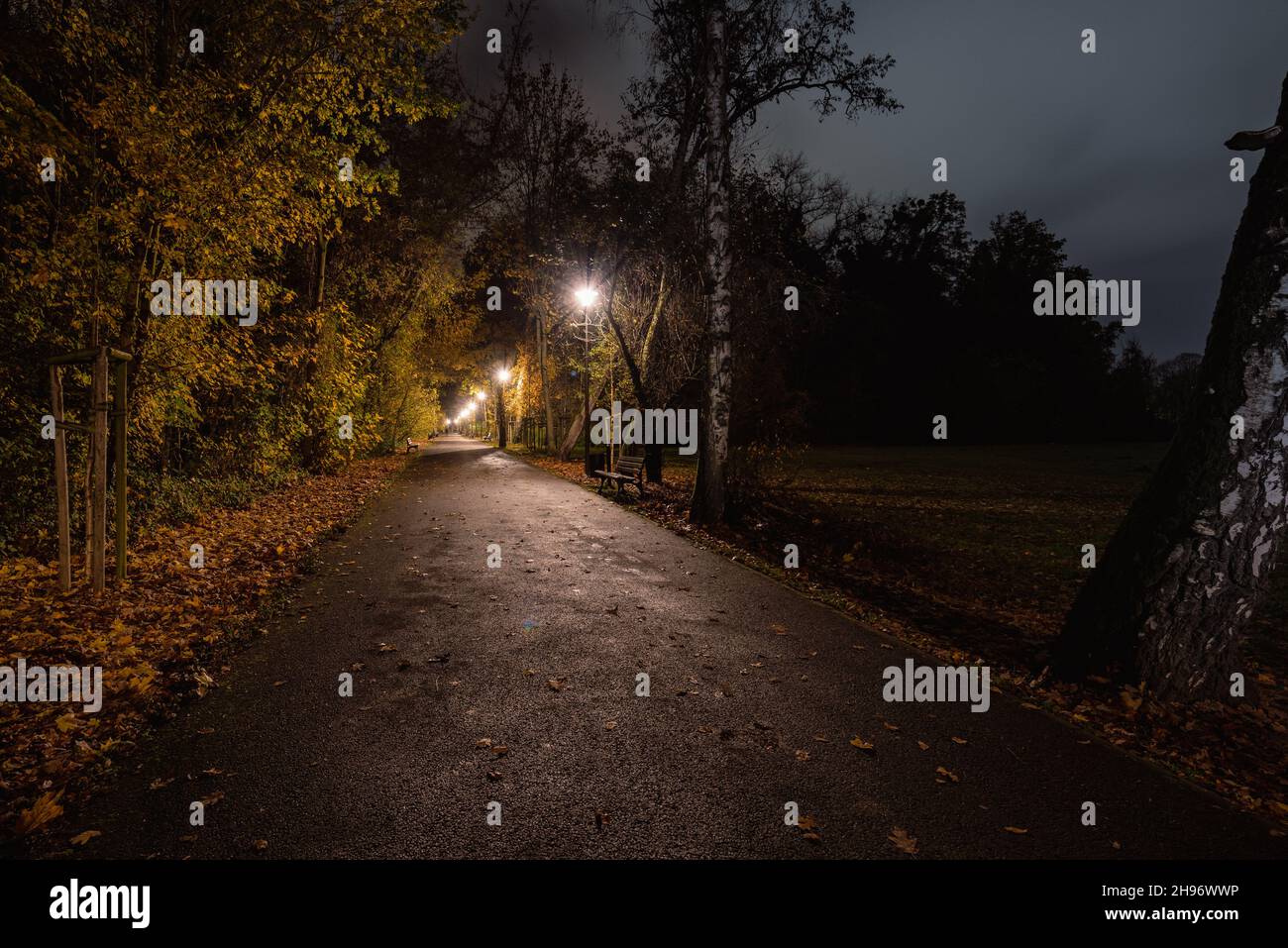 An empty footpath in a park at night Stock Photo