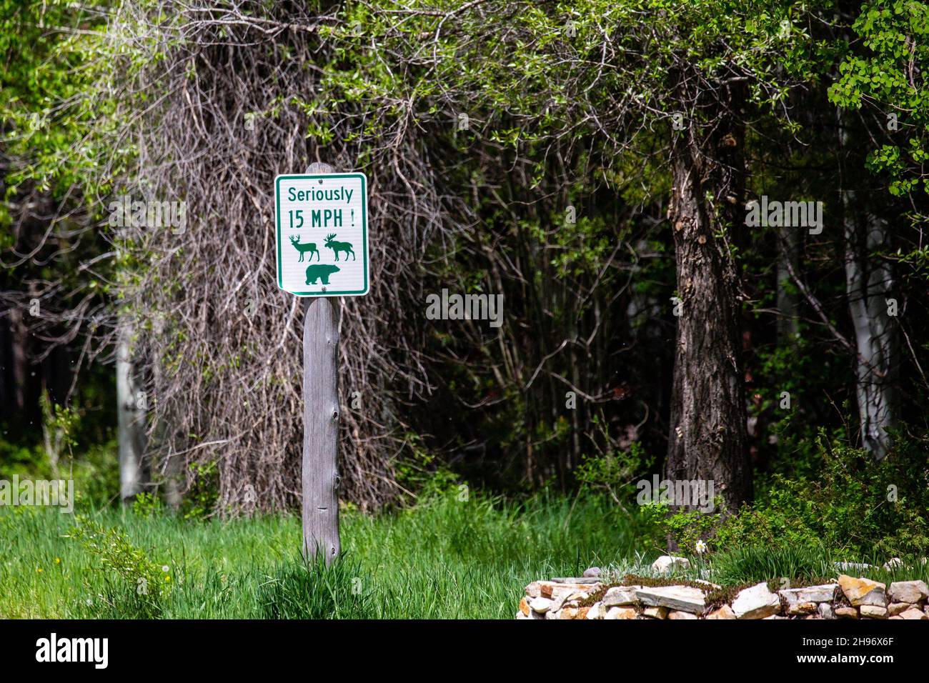 Seriously 15 MPH Speed limit sign for wildlife in the town of Moran in Jackson Hole, Wyoming, horizontal Stock Photo