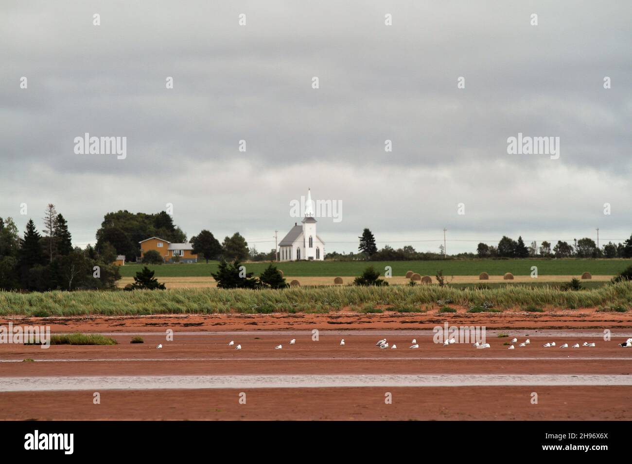 Save Download Preview Secluded beach on  Prince Edward Island with church in background Stock Photo