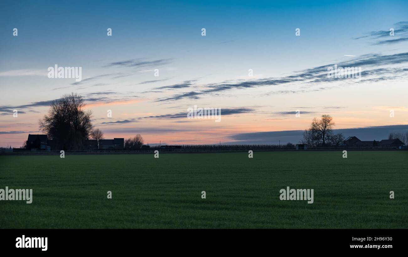 View Over Trees View over trees and meadows at the Belgian countryside during sunset ...