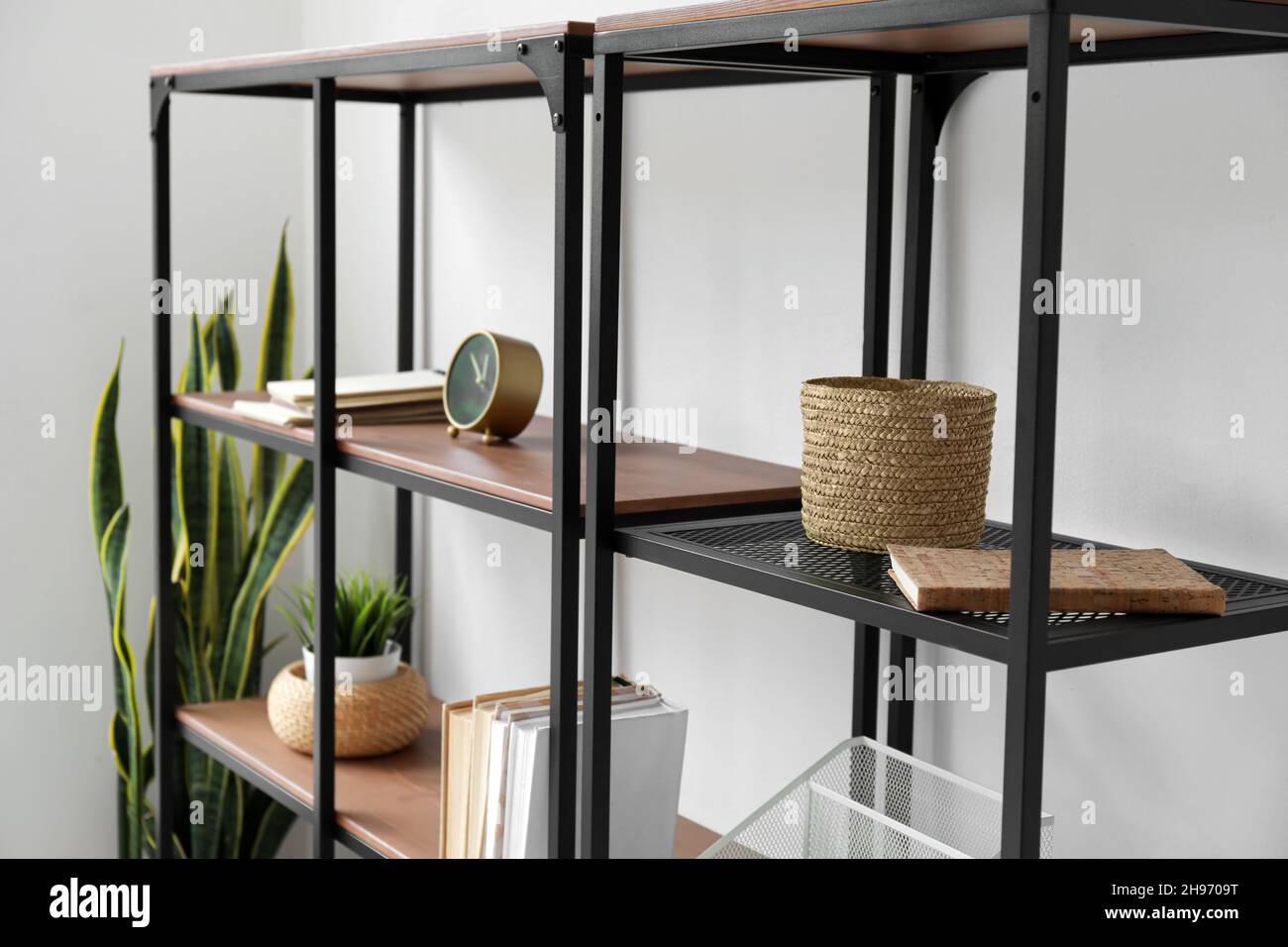 Black shelving unit with books, houseplants and organizer near light