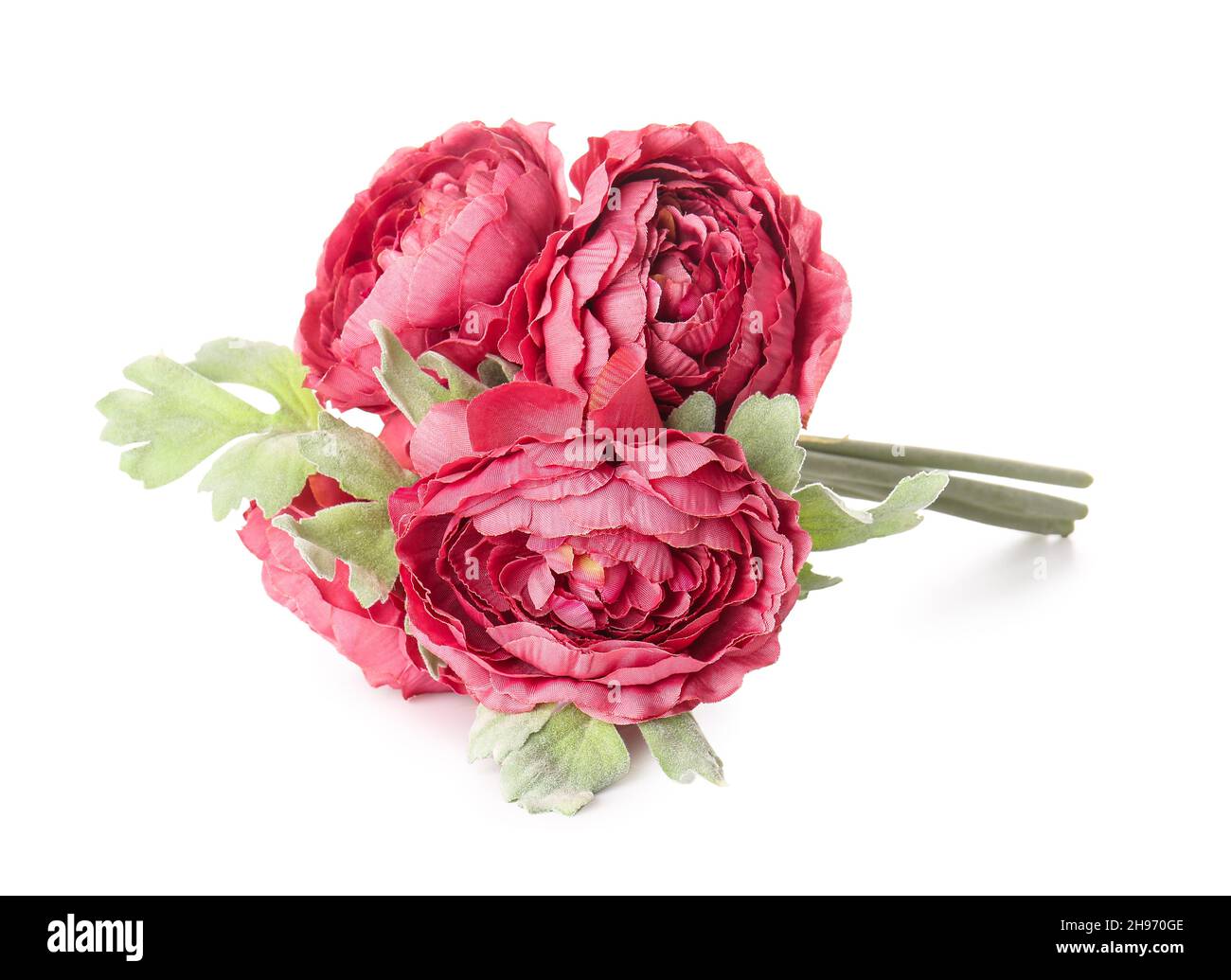 Bouquet of beautiful peony flowers on white background Stock Photo - Alamy