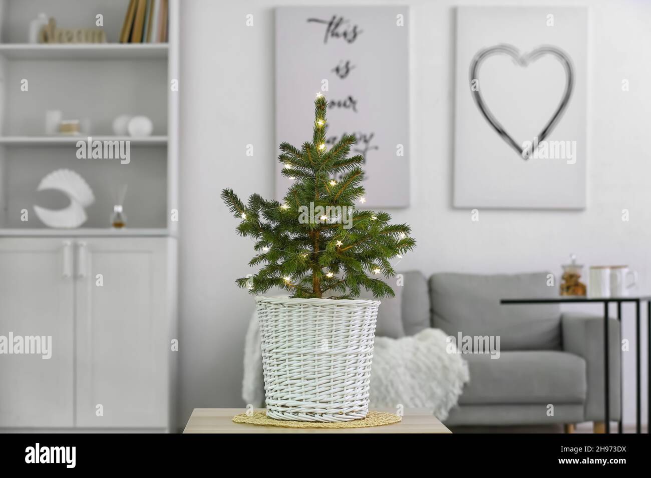Living christmas tree in pot hires stock photography and images Alamy