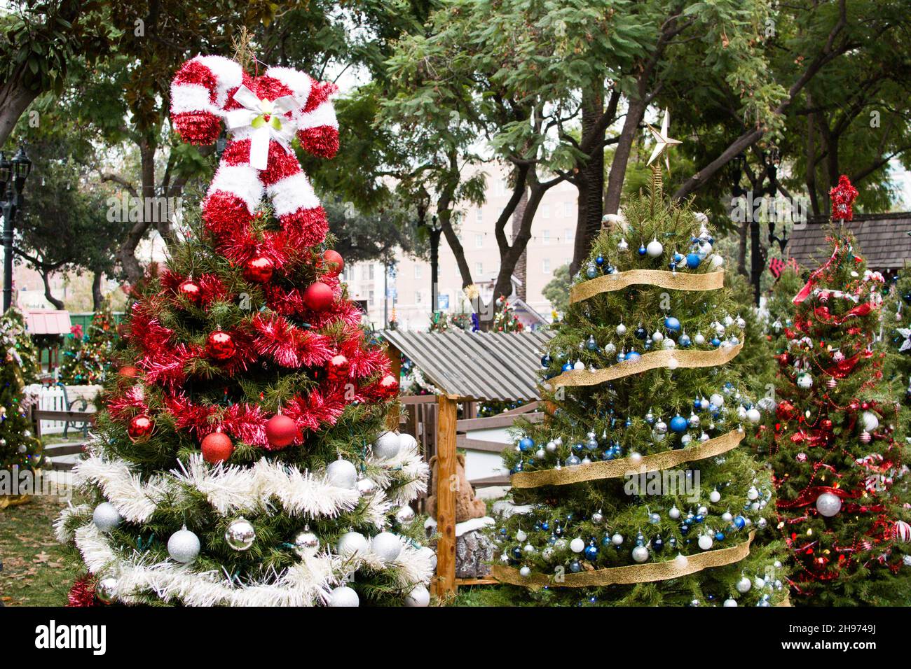 Christmas in the Park, San Jose, 2021. A Very Beary Christmas Stock