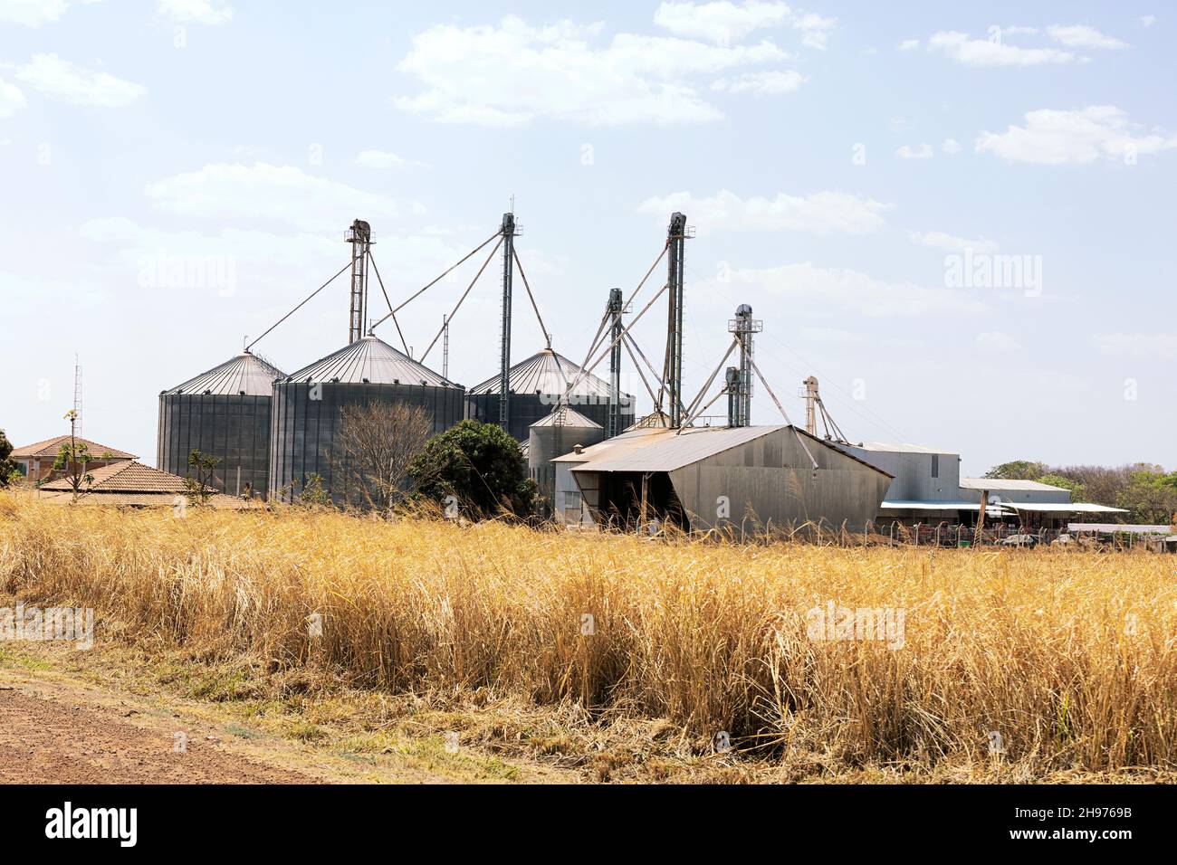 cerrado brazil dry vegetation silo industry agriculture Stock Photo
