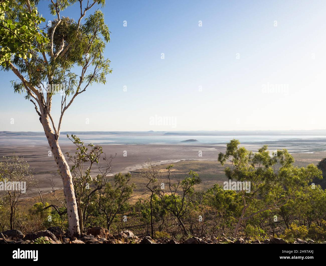 A gum tree frames the view north across Cambridge Gulf mudflats from  Five Rivers Lookout on Mount Bastion (325m), Wyndham, East Kimberley Stock Photo