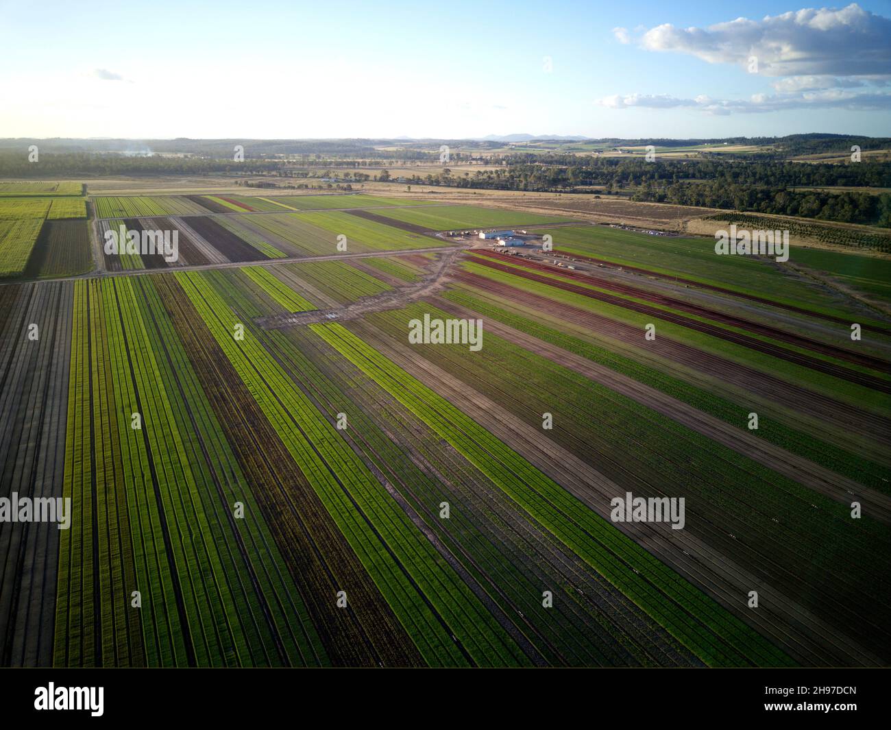 Aerial of "Dicky Bill" salad farm near Wallaville Queensland Australia Stock Photo Alamy