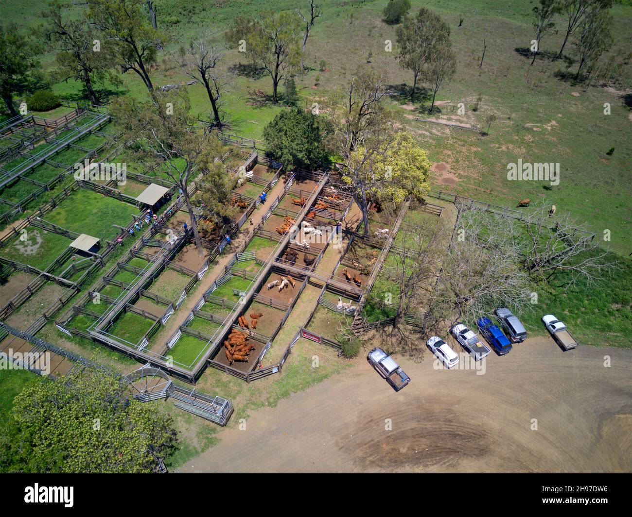 Aerial of Elders cattle saleyards in Gin Gin Queensland Australia Stock
