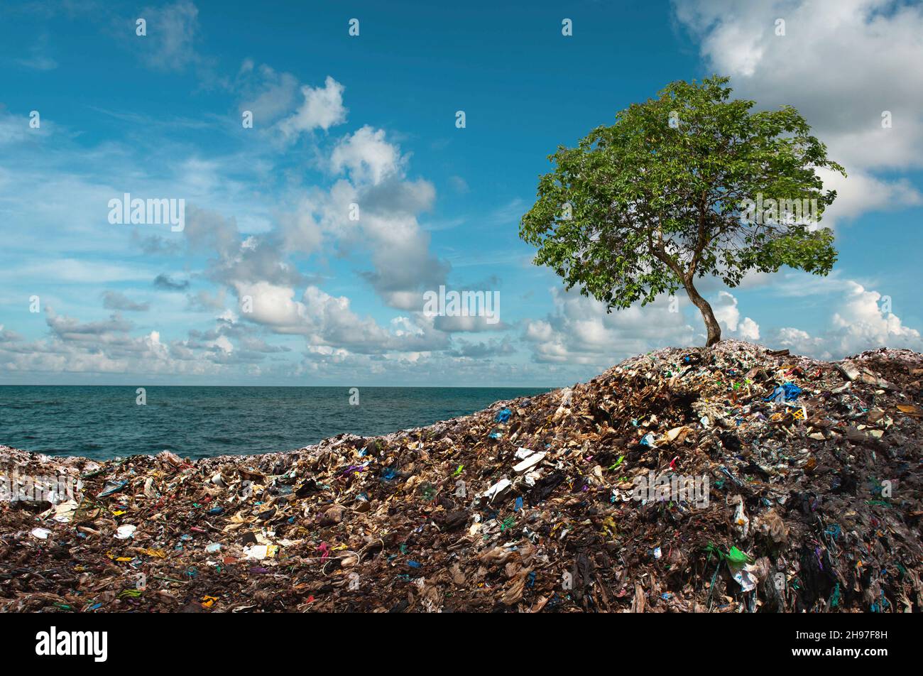 Tree grows between Mountains of Trash. In unreal surreal environment garbage nature pollution ecology. Environment concept. Stock Photo