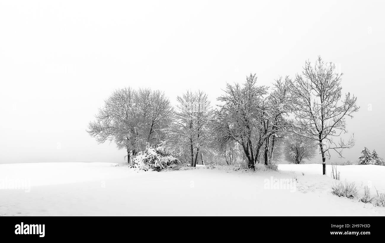 A scenery of trees in a snowy landscape Stock Photo - Alamy