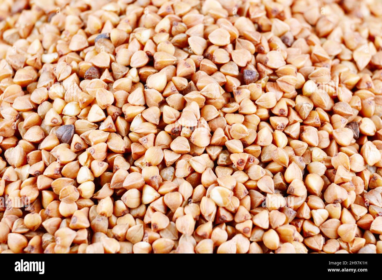 Roasted organic buckwheat kernels background Stock Photo Alamy