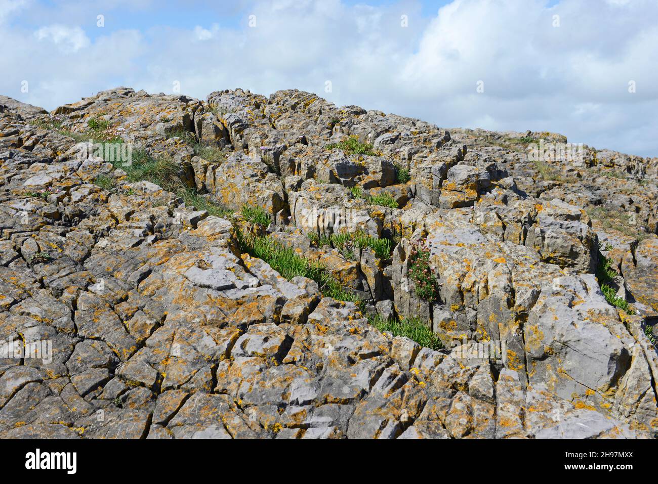 Carboniferous limestone rocks at Friars Point on Barry Island, Wales