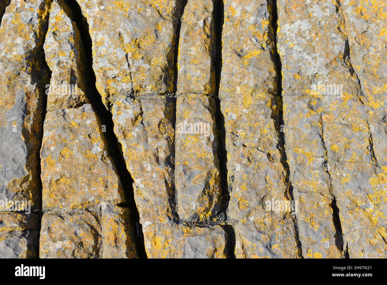 Carboniferous limestone rocks at Friars Point on Barry Island, Wales, UK Stock Photo