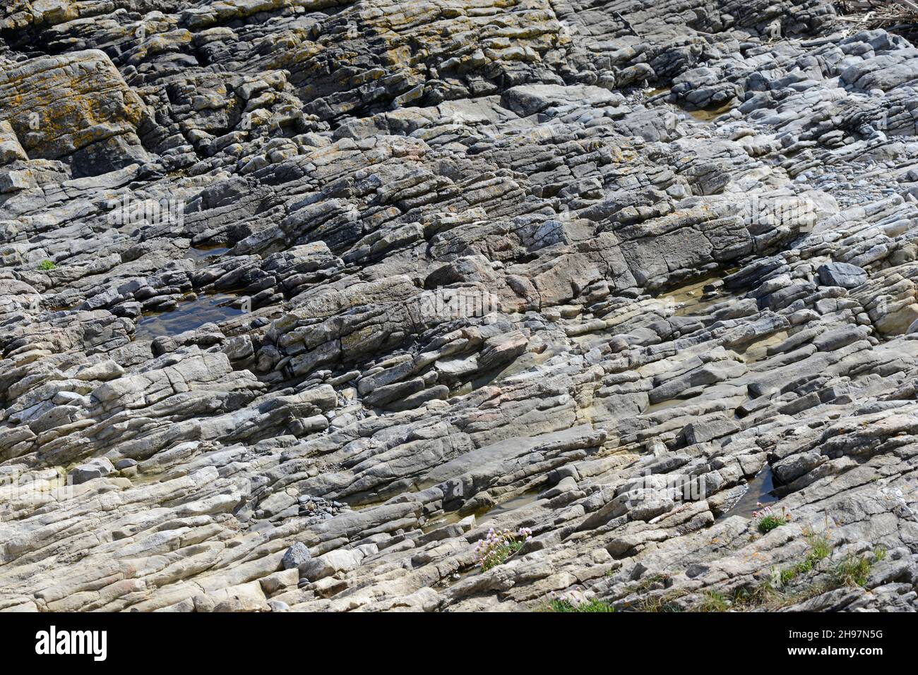 Carboniferous limestone rocks at Friars Point on Barry Island, Wales, UK Stock Photo