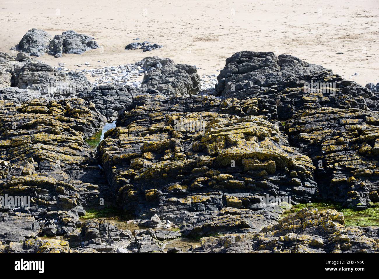 Carboniferous limestone rocks at Friars Point on Barry Island, Wales, UK Stock Photo