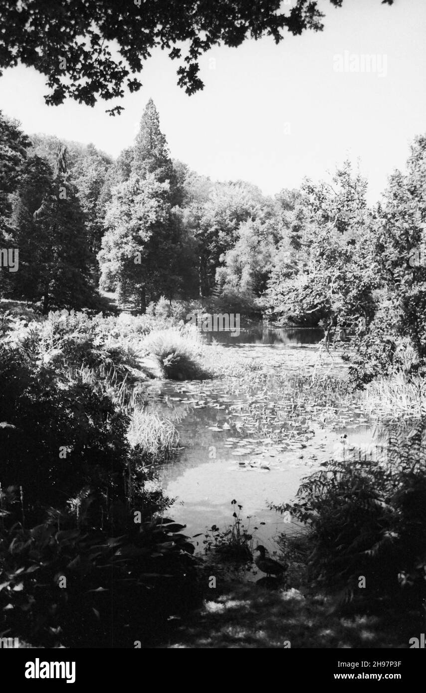 Stourhead Garden, Stourton, Wiltshire, UK, showing the lily pond at the top of the lake in Six Wells Bottom. Black and white archive film photograph from 1990 Stock Photo