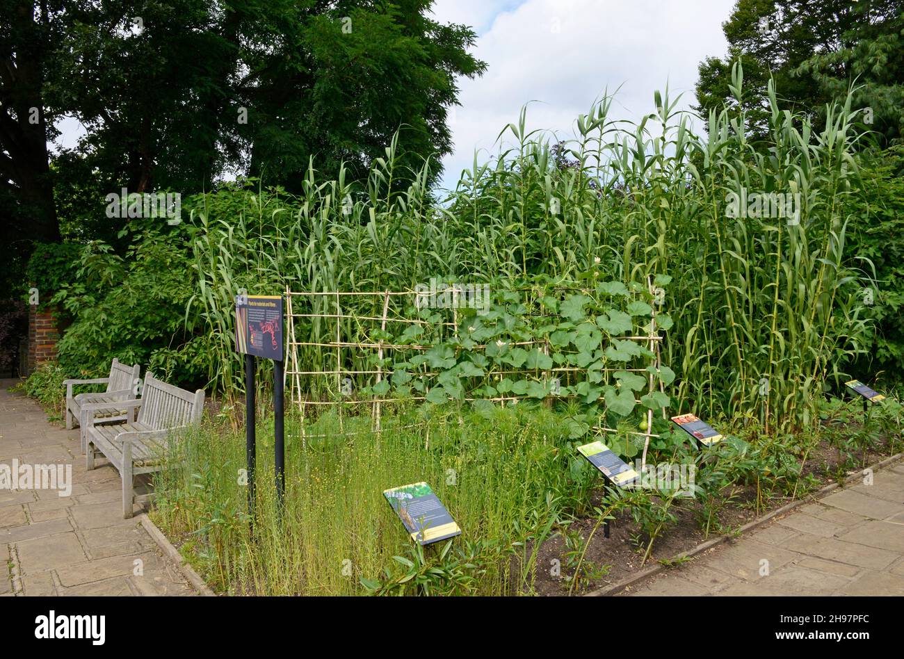 A range of industrial and agricultural use crops is grown in a display
