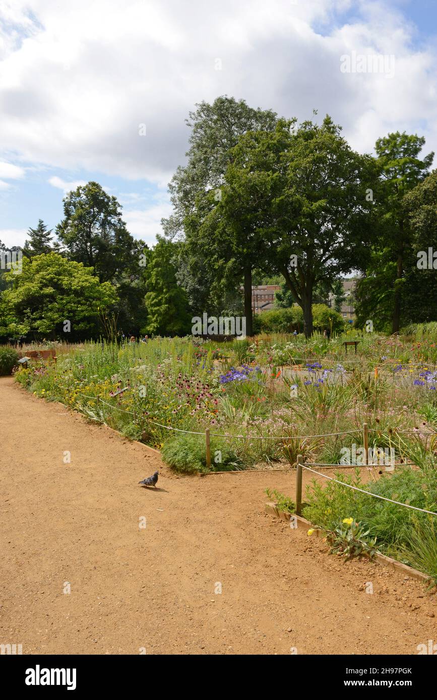 A view of beds in the gardens at the Horniman Museum and Gardens in London, UK Stock Photo