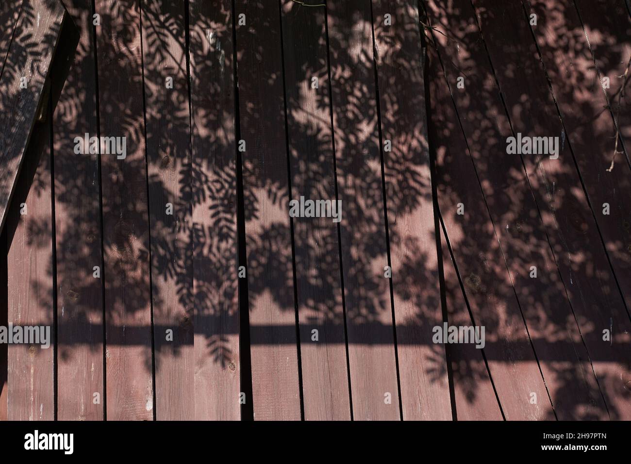 The dark shadow of leaves on a wooden fence. Neutral wooden background, nature concept. Space for text. High quality photo Stock Photo