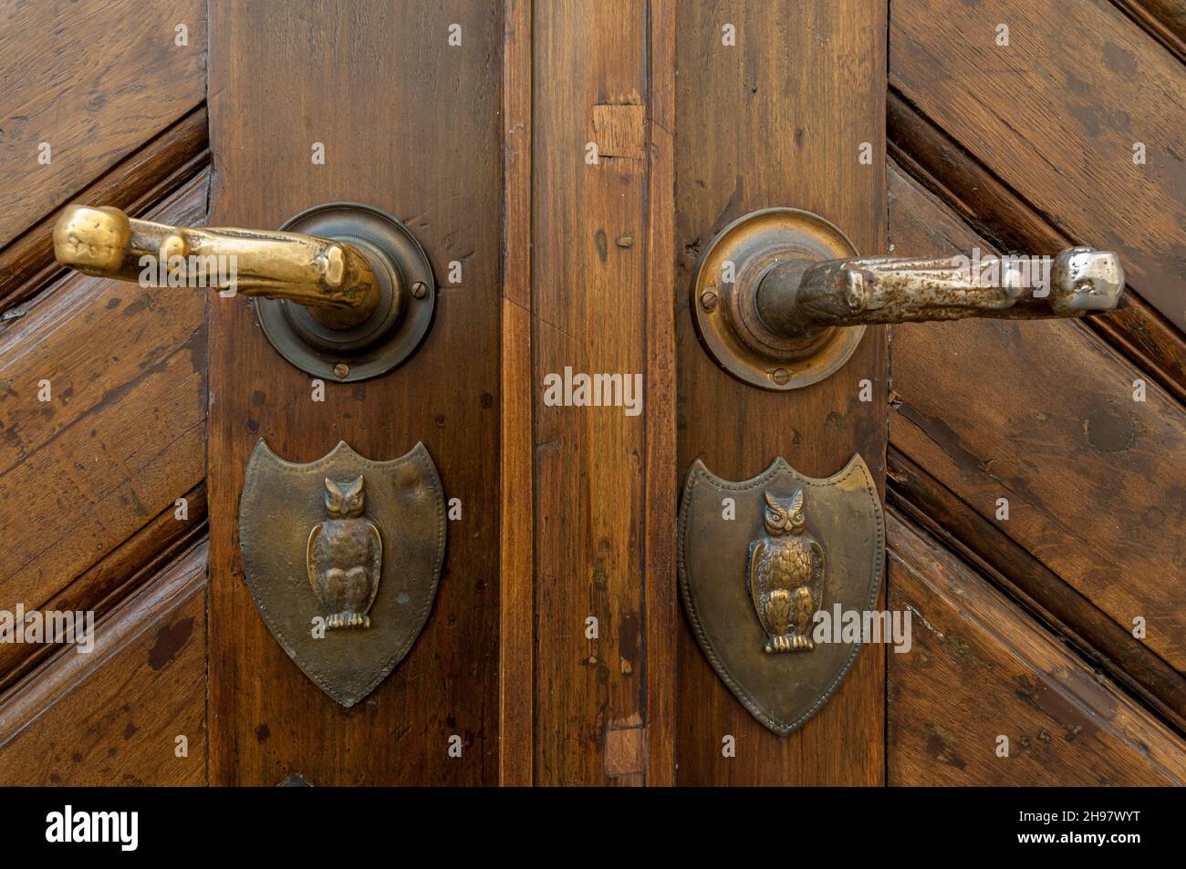 Ornate brass shield door plates with relief owls on the wooden door of a building in Prague's Malá Strana Stock Photo