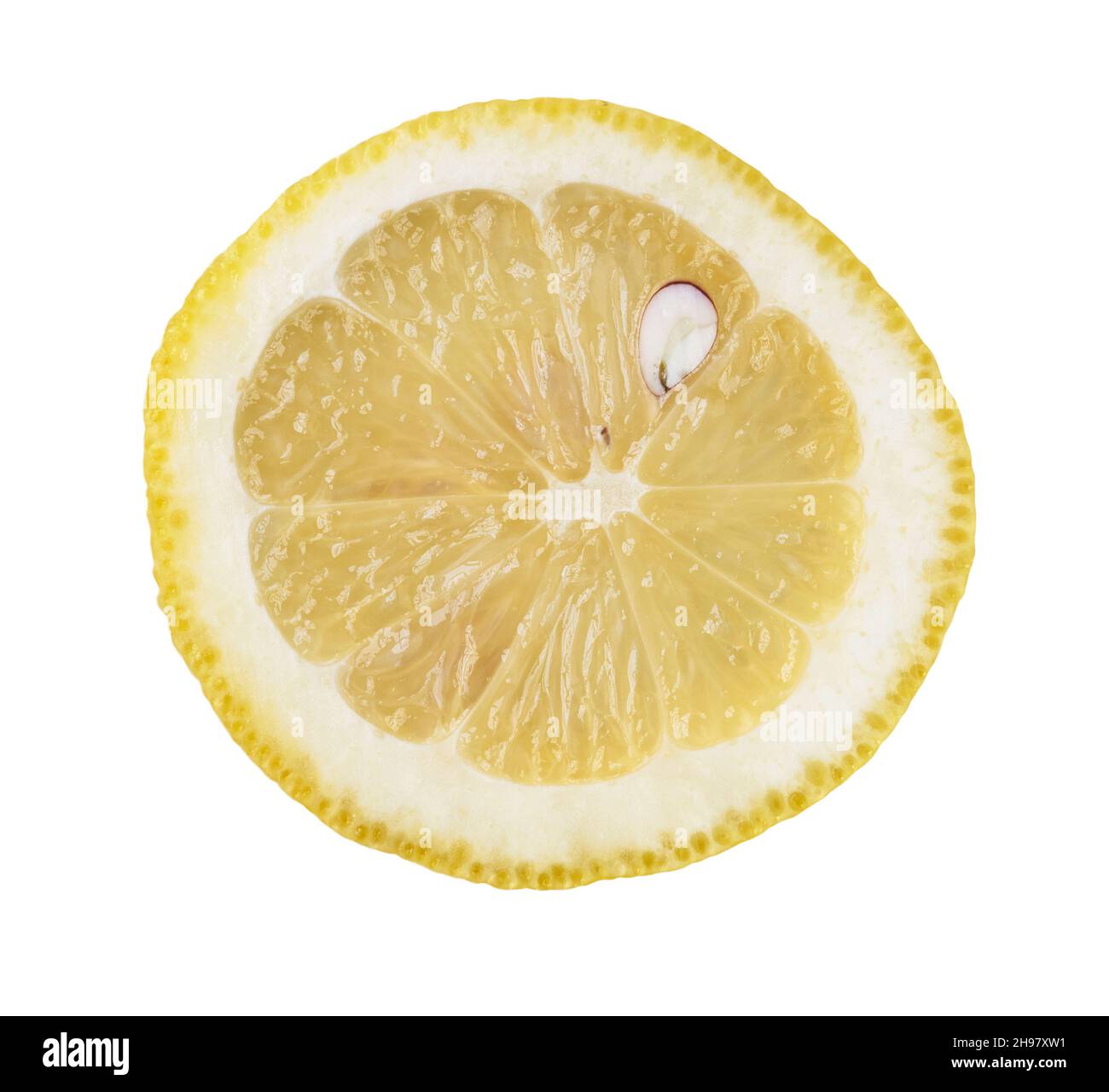 Slice of lemon isolated on a white background Stock Photo - Alamy