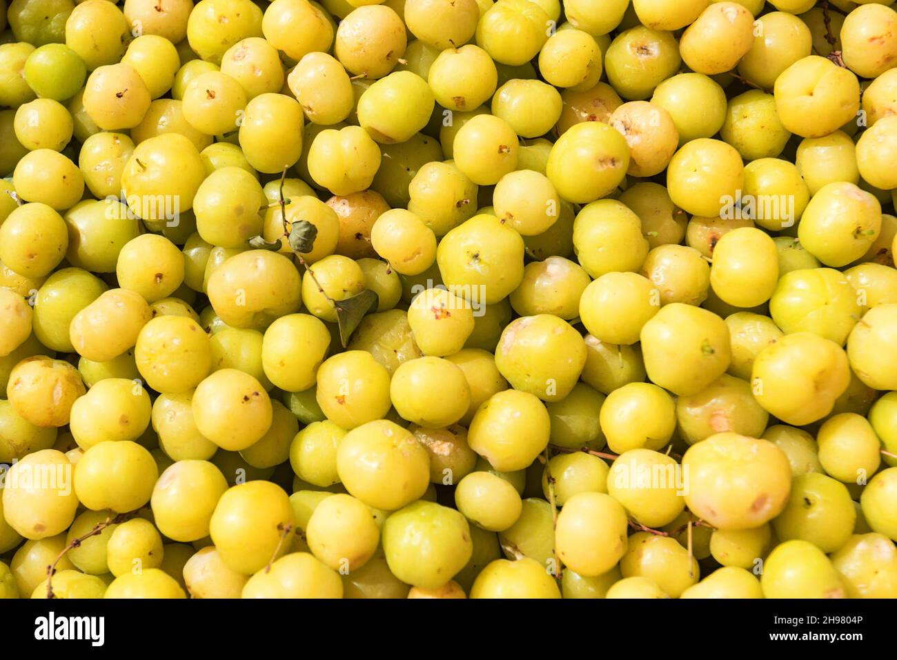 View of a ripe gooseberries berries close up Stock Photo