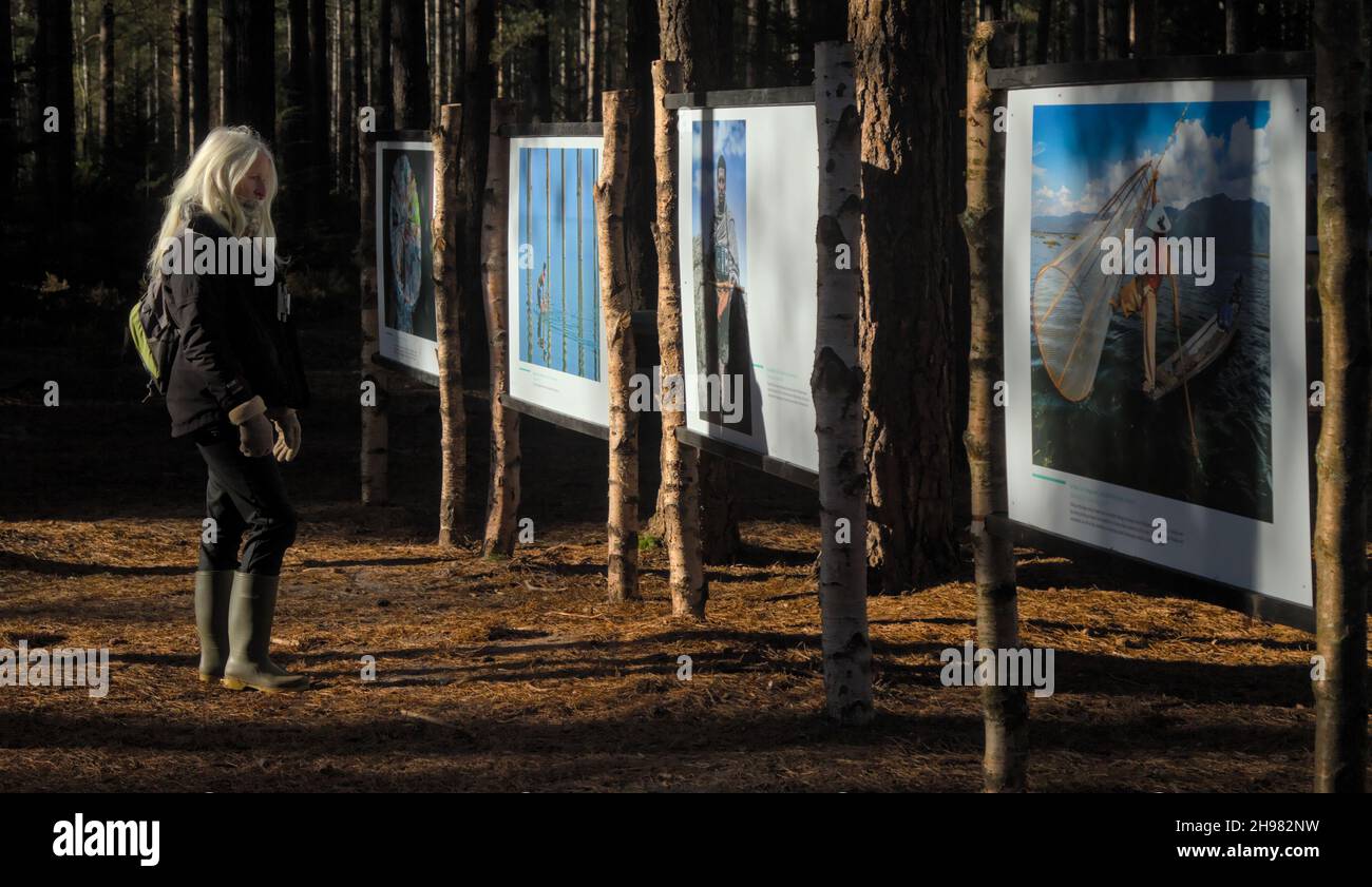 Young Woman Looking At A Photographic Exhibition, Earth Photo,  On Climate Change In Ringwood Forest, Moors Valley UK Stock Photo