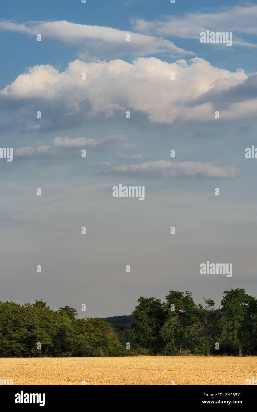 A cloud in a hazy sky over field and forest. Stock Photo