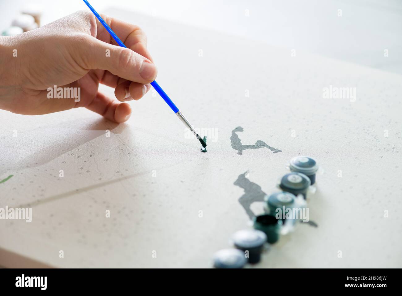 https://c8.alamy.com/comp/2H986JW/hobby-at-home-painting-by-numbers-to-draw-from-above-a-view-of-womens-hands-holding-a-brush-with-paints-2H986JW.jpg