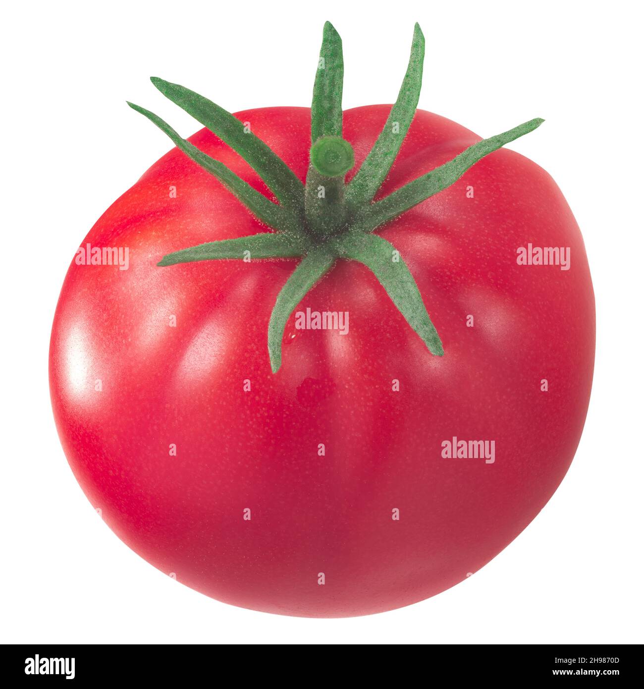 1884 Heirloom tomato (Solanum lycopersicum fruit) isolated Stock Photo