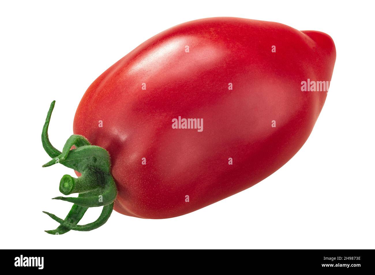 Plumelike heirloom tomato (Solanum lycopersicum fruit), Korean elongated or Koreiskiy prodolgovaty variety, isolated Stock Photo