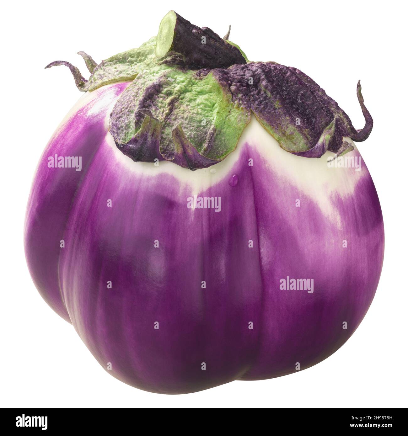 Violet white ribbed aubergine or eggplant (Solanum melongena fruit) isolated Stock Photo