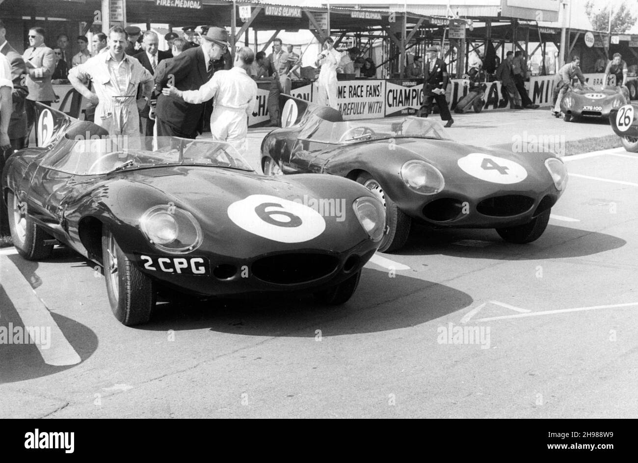 Jaguar D types in the paddock, RAC Tourist Trophy, Goodwood, Sussex, 1958. Car number 6, driven by Duncan Hamilton and Peter Blond came sixth in the race, with the number 4 car of Masten Gregory and Innes Ireland finishing fifth. Stock Photo