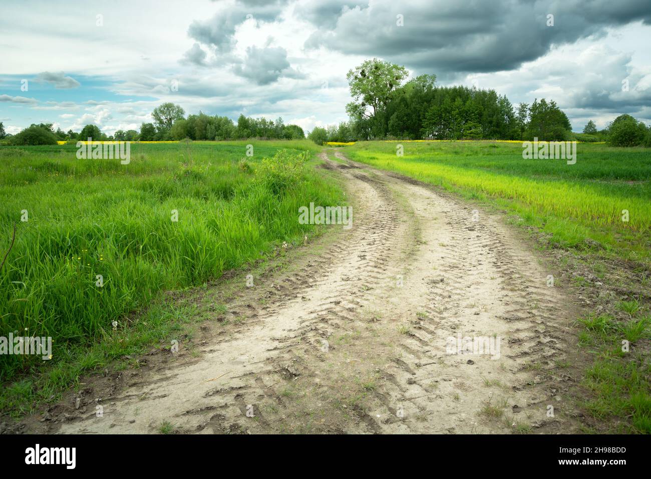 Dirt road in green fields and cloudy sky Stock Photo - Alamy
