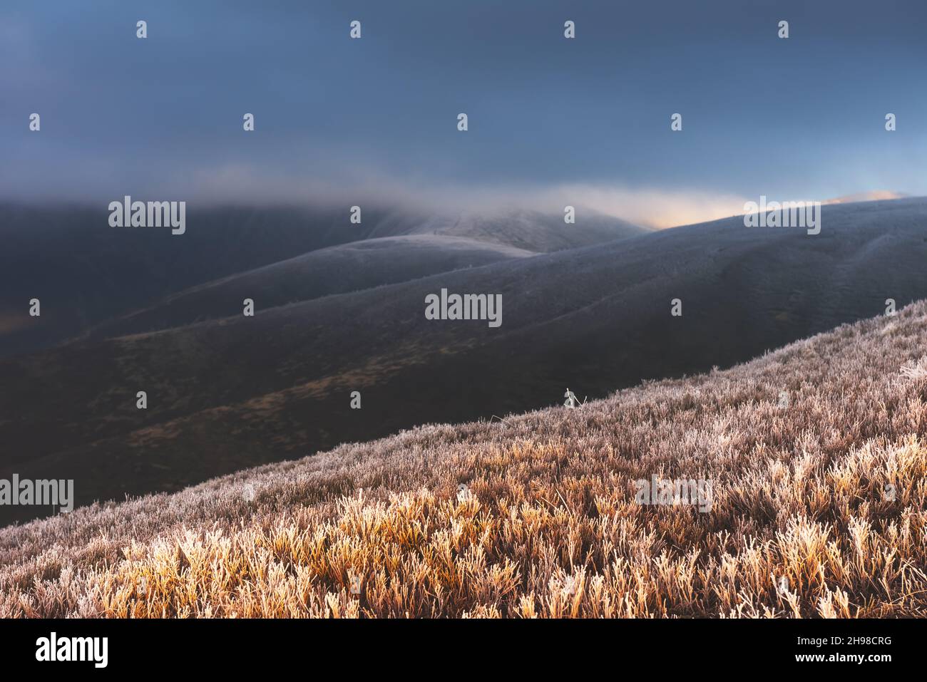Fantastic autumn landscape with hoarfrost and grassy hills in Carpathian mountains Stock Photo