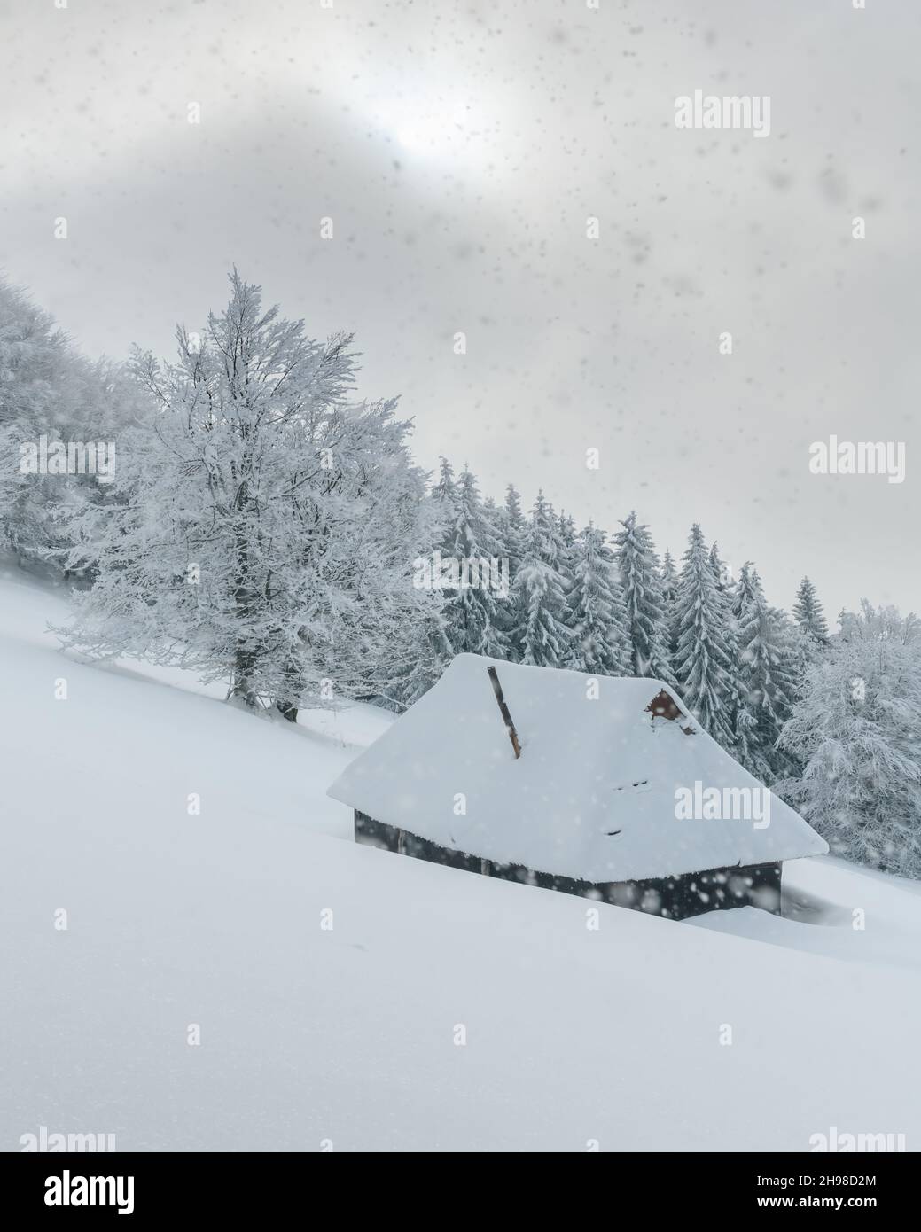 Fantastic winter landscape with wooden cabin in snowy forest. Cozy ...