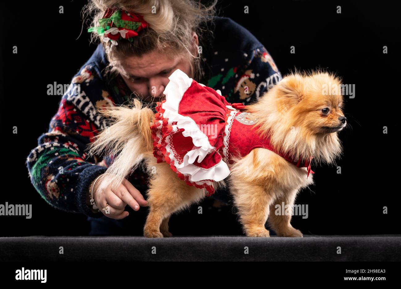 Amy Sullivan with Tallulah, the Pomeranian dog, during the Victorian